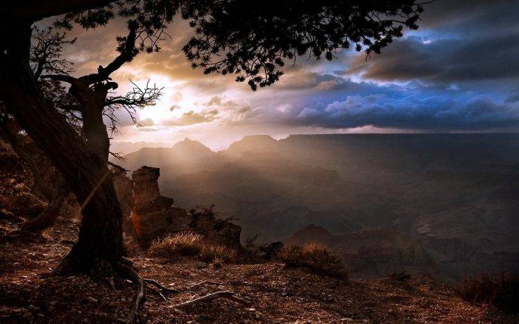 nature, Landscape, Sunset, Grand Canyon, Trees, Clouds HD Wallpaper Desktop Background