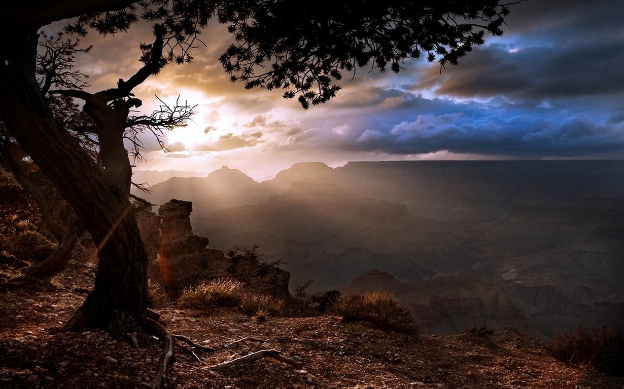 nature, Landscape, Sunset, Grand Canyon, Trees, Clouds Wallpaper