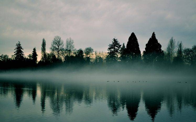 lake, Mist, Trees, Landscape HD Wallpaper Desktop Background