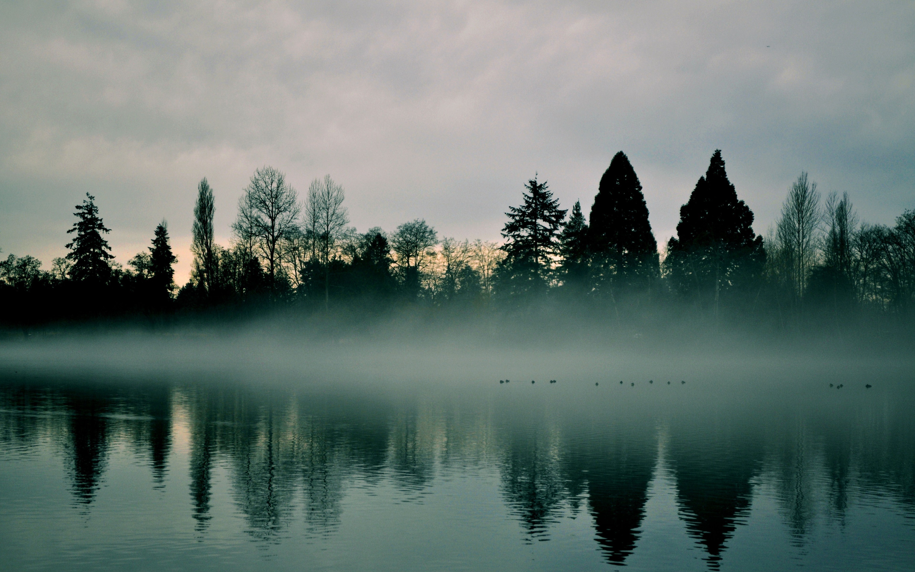 lake, Mist, Trees, Landscape Wallpaper
