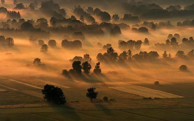 nature, Landscape, Mist, Sunrise, Trees, Sunlight, Field HD Wallpaper Desktop Background