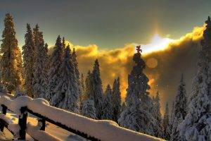 landscape, Winter, Snow, Sunset, Trees, Fence