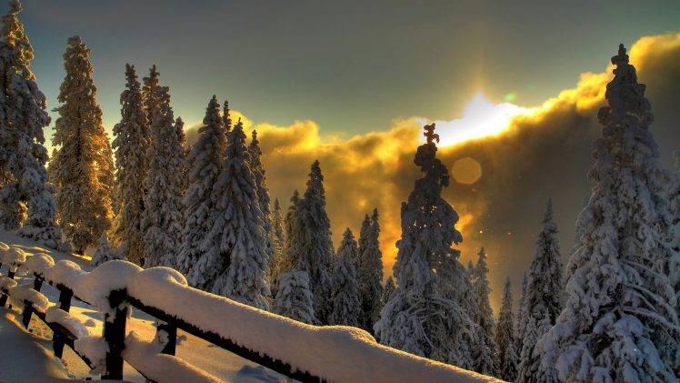 landscape, Winter, Snow, Sunset, Trees, Fence HD Wallpaper Desktop Background