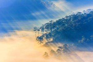 nature, Landscape, Sun Rays, Vietnam, Sunrise, Forest, Mist