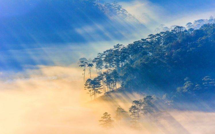 nature, Landscape, Sun Rays, Vietnam, Sunrise, Forest, Mist HD Wallpaper Desktop Background