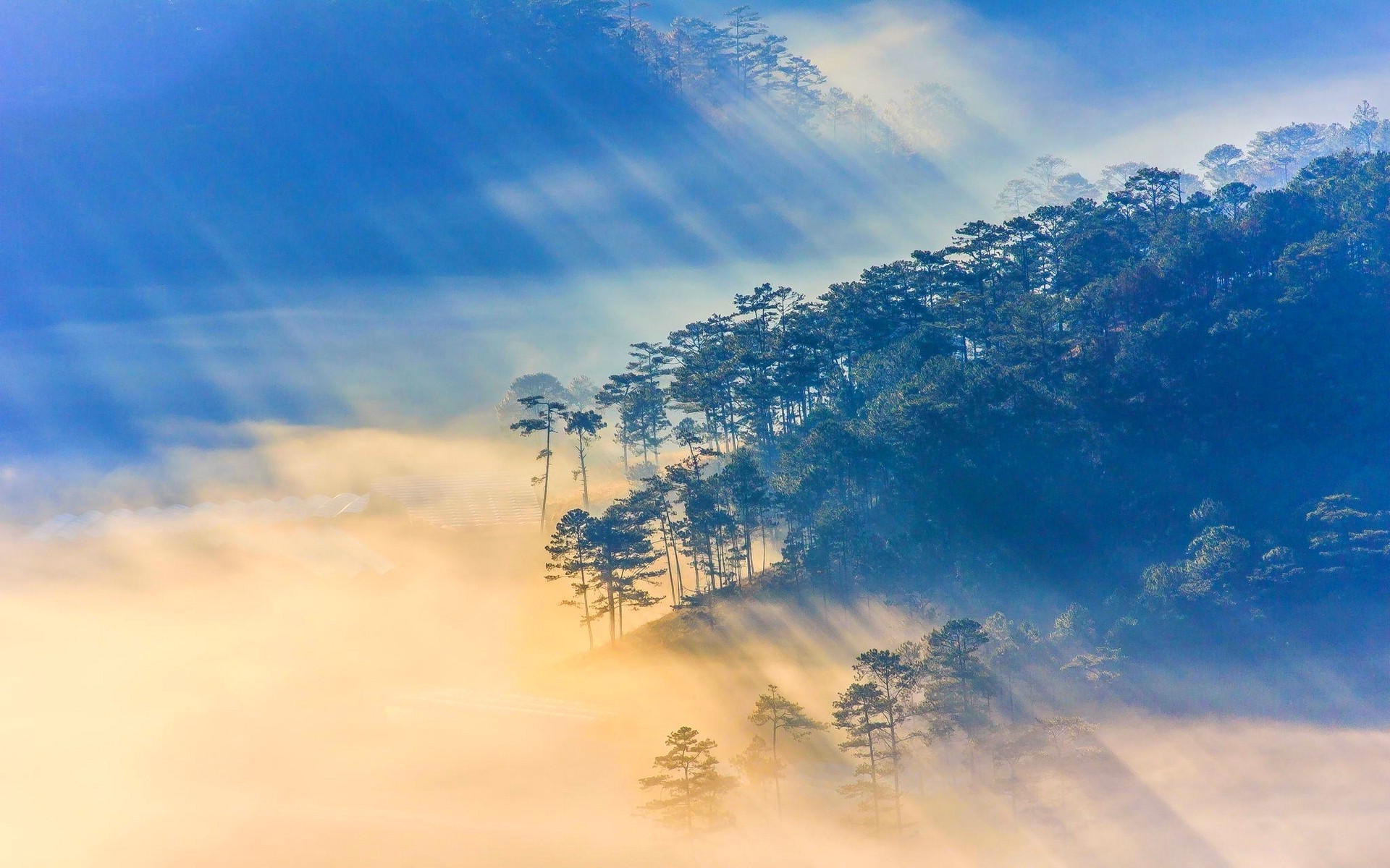 nature, Landscape, Sun Rays, Vietnam, Sunrise, Forest, Mist Wallpaper
