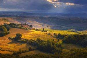 nature, Landscape, Tuscany, Mountain, Forest, Sunlight, Field, Trees