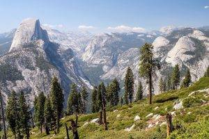Yosemite National Park, Landscape, Mountain, Trees, Nature