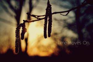 nature, Quote, Time, Sunlight, Blurred, Silhouette, Twigs