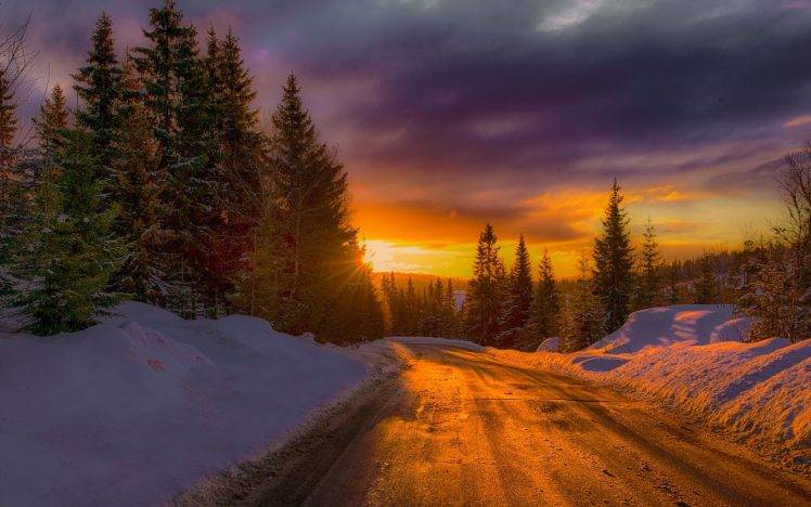 nature, Landscape, Mist, Sunset, Road, Winter, Snow, Forest, Norway, Gold HD Wallpaper Desktop Background