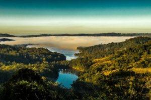 nature, Landscape, Water, Mist, Liquid, Australia, Lake, Forest, Morning, Hill