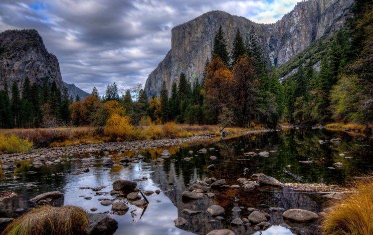 nature, Landscape, Mountain, River, Pine Trees HD Wallpaper Desktop Background