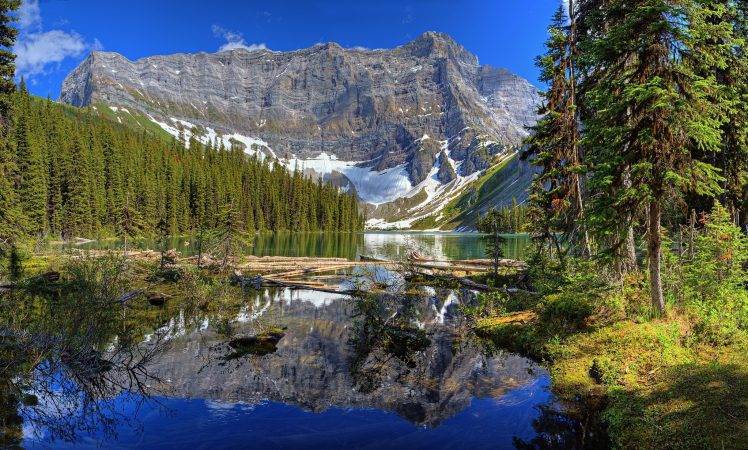 nature, Landscape, Mountain, River, Pine Trees, Forest HD Wallpaper Desktop Background