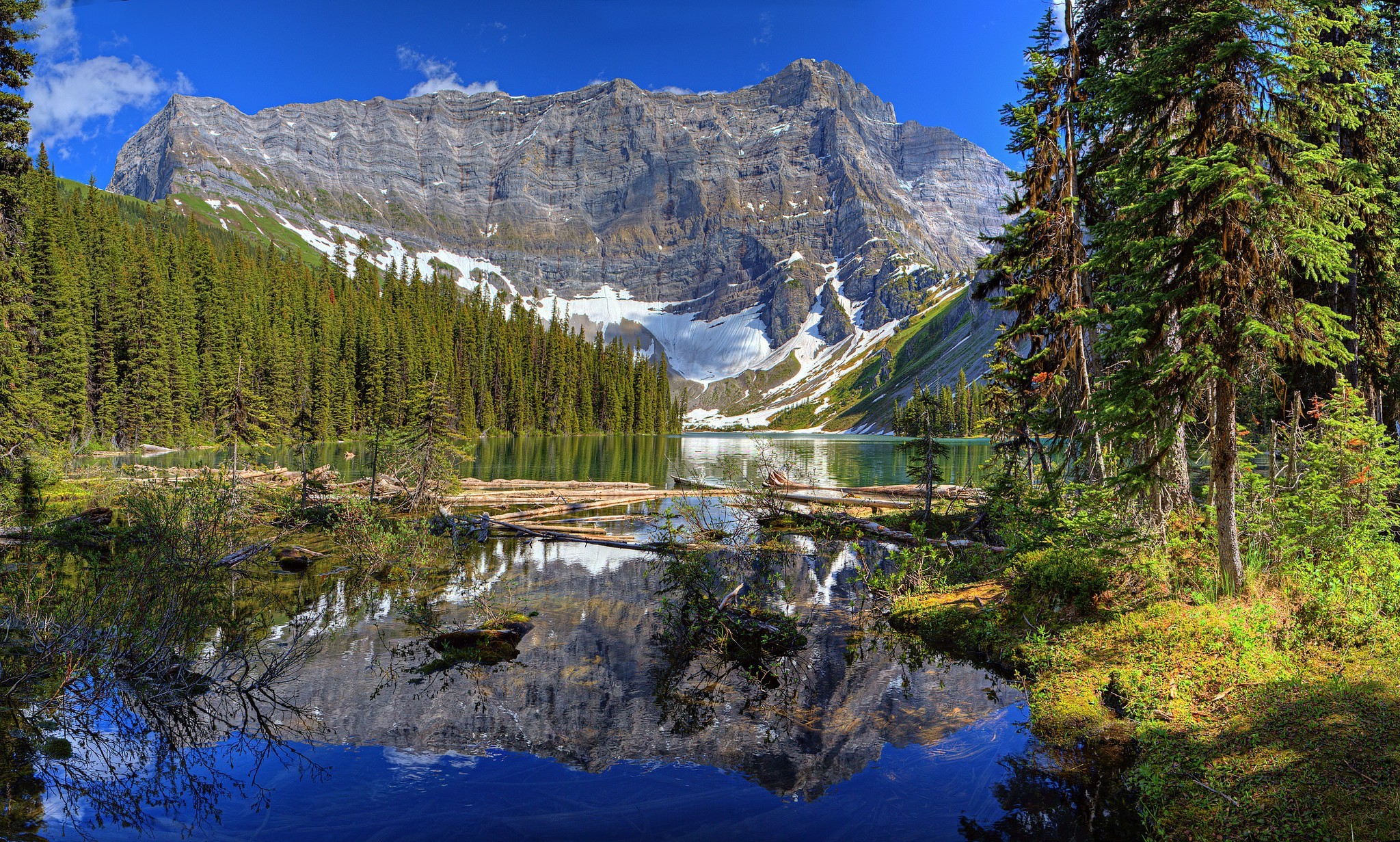 nature, Landscape, Mountain, River, Pine Trees, Forest Wallpaper