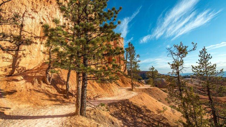 Bryce Canyon National Park, Nature, Landscape, Desert, Trees HD Wallpaper Desktop Background
