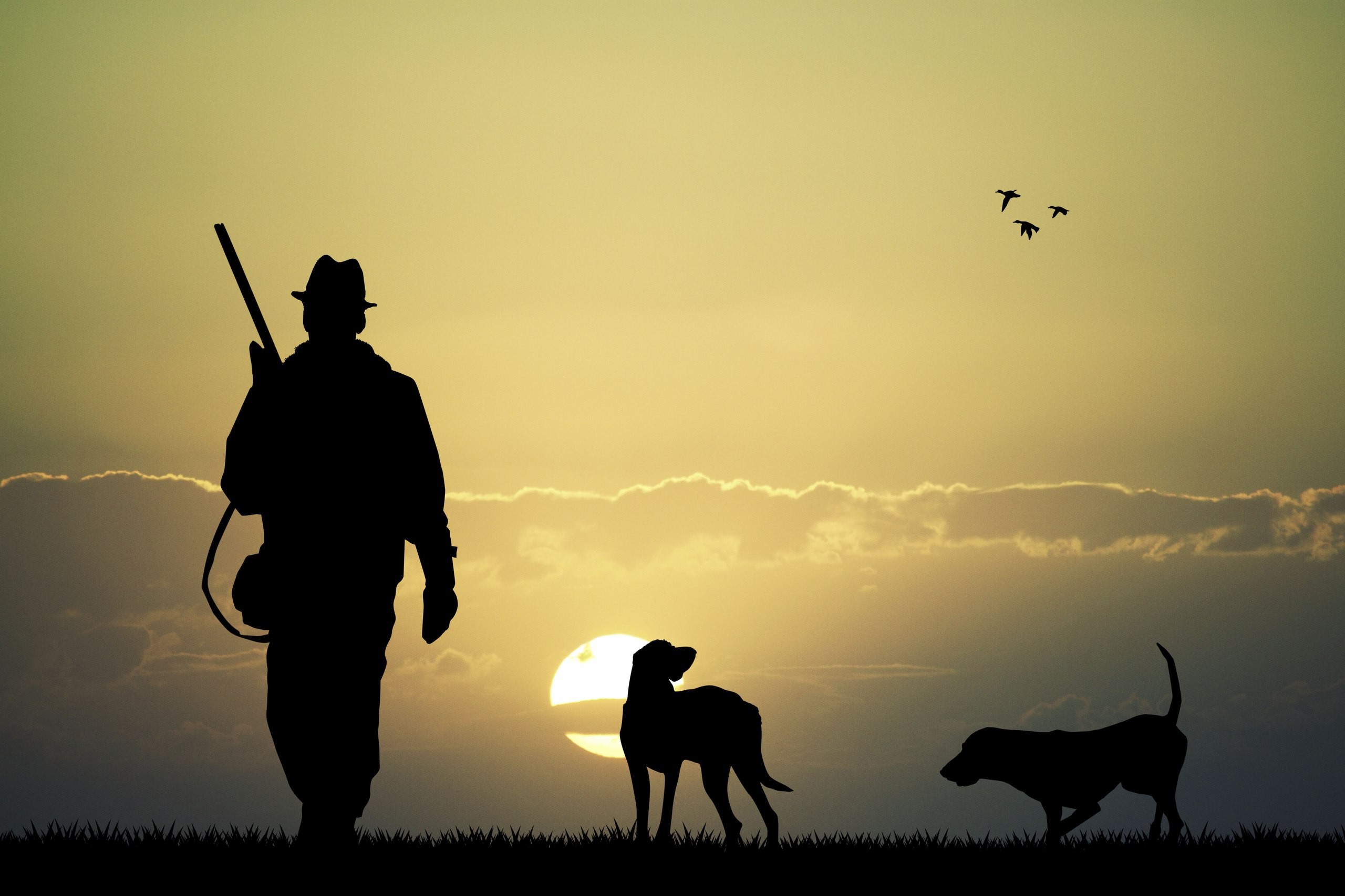 animals, Dog, Birds, Sun, Men, Hunting, Gun, Rifles Wallpaper