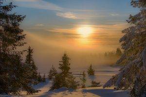 landscape, Nature, Sunset, Winter, Mist, Forest, Snow, Trees, Cold, Shadow