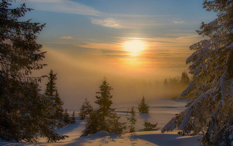 landscape, Nature, Sunset, Winter, Mist, Forest, Snow, Trees, Cold, Shadow HD Wallpaper Desktop Background