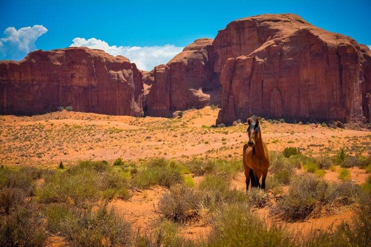 nature, Sandstone, Horse, Desert, Landscape HD Wallpaper Desktop Background
