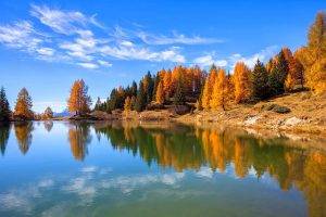 nature, Landscape, Lake, Fall, Forest, Italy, Trees, Water, Calm, Blue, Gold