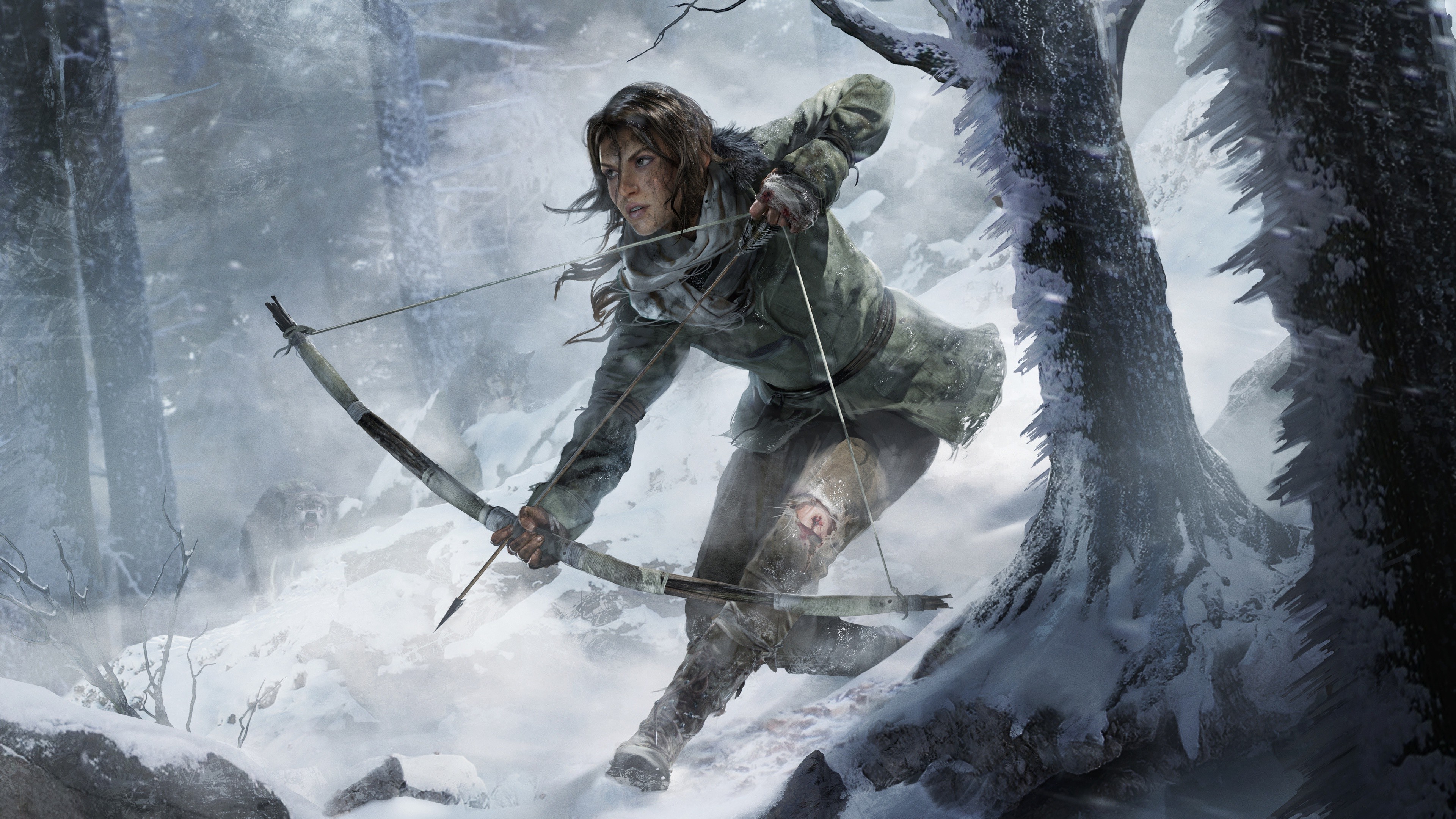 Rise Of The Tomb Raider, Tomb Raider, Lara Croft, Video Games Wallpaper