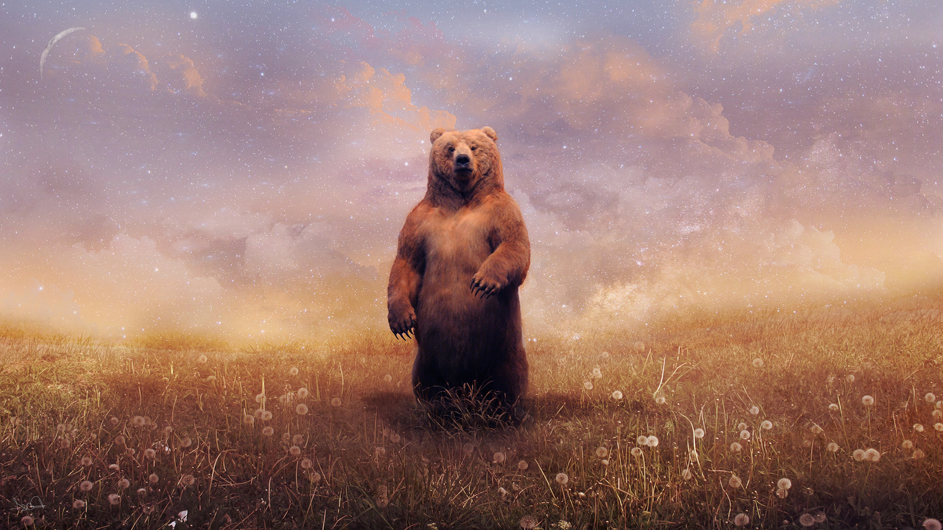 bears, Landscape Wallpaper