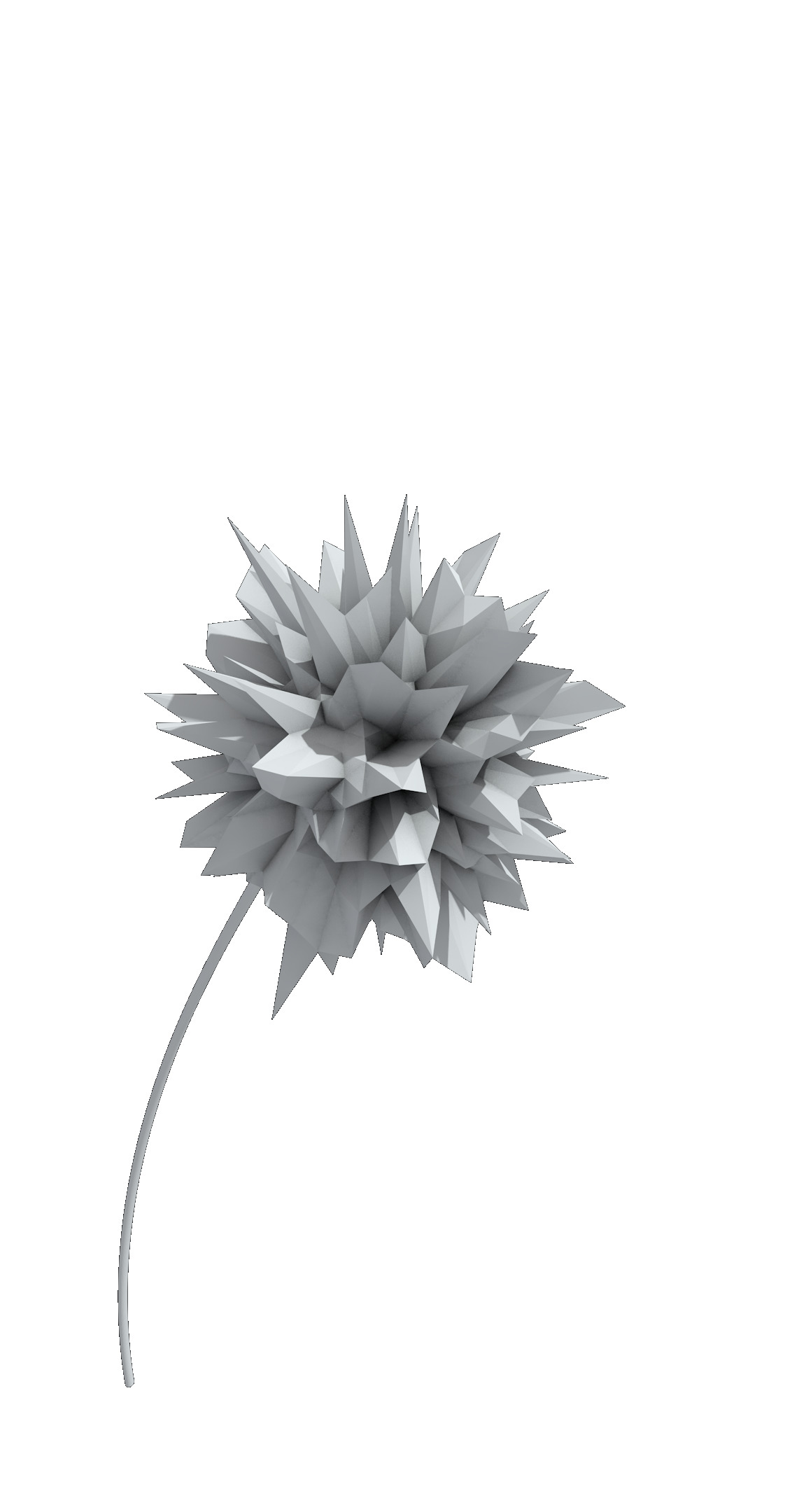 no Background, Flowers, Abstract, Cinema 4D, CGI, Plants Wallpaper