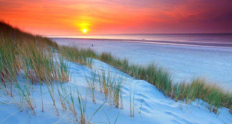 nature, Landscape, Sunset, Netherlands, Beach, Sand, Dune, Sea, Purple, Grass, Yellow HD Wallpaper Desktop Background