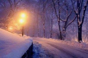 nature, Landscape, Lantern, Winter, Park, Snow, Trees, Lights, Road, Cold