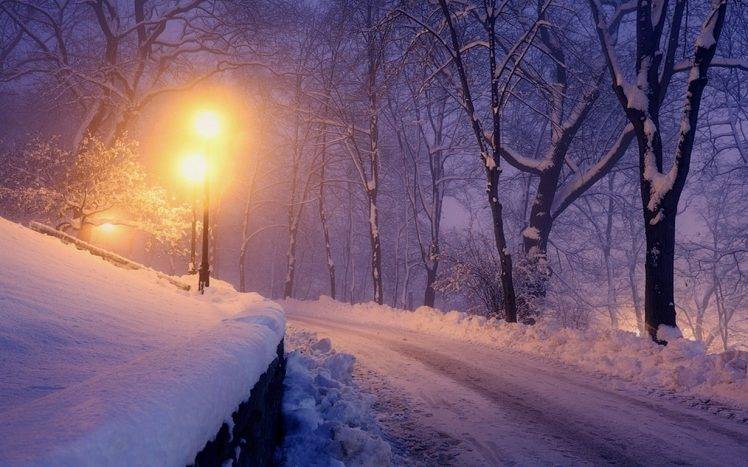 nature, Landscape, Lantern, Winter, Park, Snow, Trees, Lights, Road, Cold HD Wallpaper Desktop Background