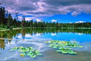 nature, Landscape, Lake, Forest, Reflection, Clouds, Water, Green, Blue