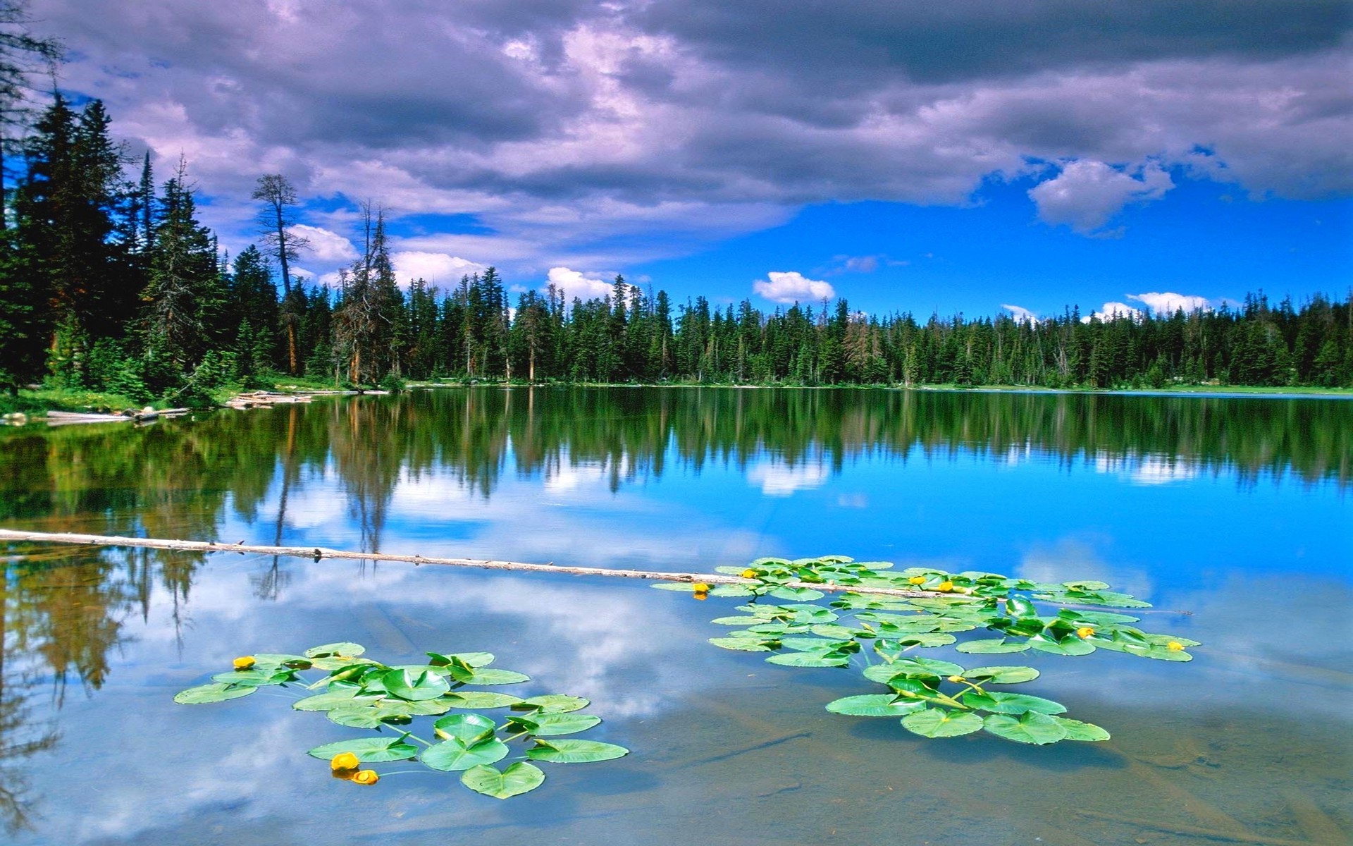 nature, Landscape, Lake, Forest, Reflection, Clouds, Water, Green, Blue