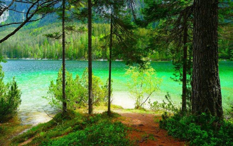 nature, Landscape, Summer, Lake, Forest, Mountain, Shrubs, Trees HD Wallpaper Desktop Background