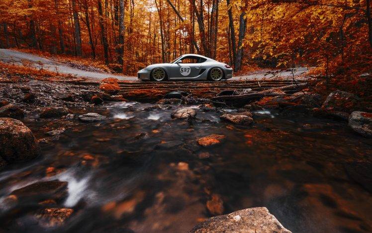 nature, Car, Trees, Forest, Fall, Vehicle, Leaves, Long Exposure, Stream, Stones, Road, Rock, Porsche Cayman, Sports Car, Side View HD Wallpaper Desktop Background