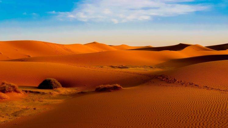 desert, Nature, Landscape, Dune, Sand, Sahara, Morocco, Orange HD Wallpaper Desktop Background