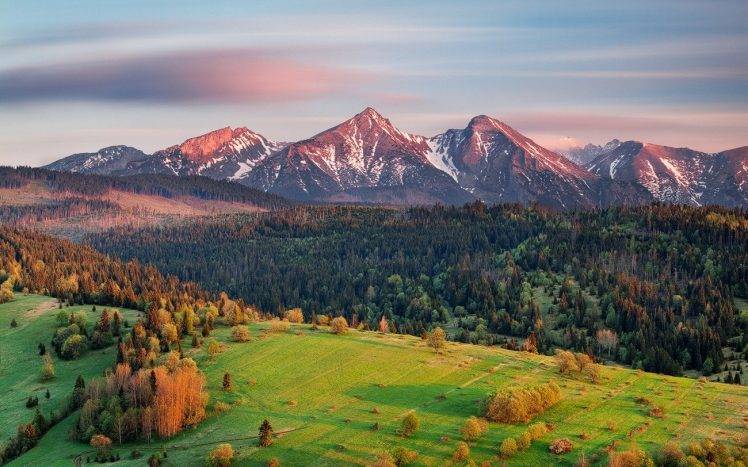 nature, Landscape, Morning, Sunrise, Mountain, Snowy Peak, Forest, Slovakia, Field HD Wallpaper Desktop Background