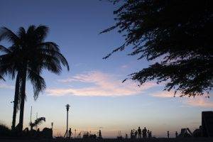 landscape, Sunset, Clouds, Backlighting, Palm Trees