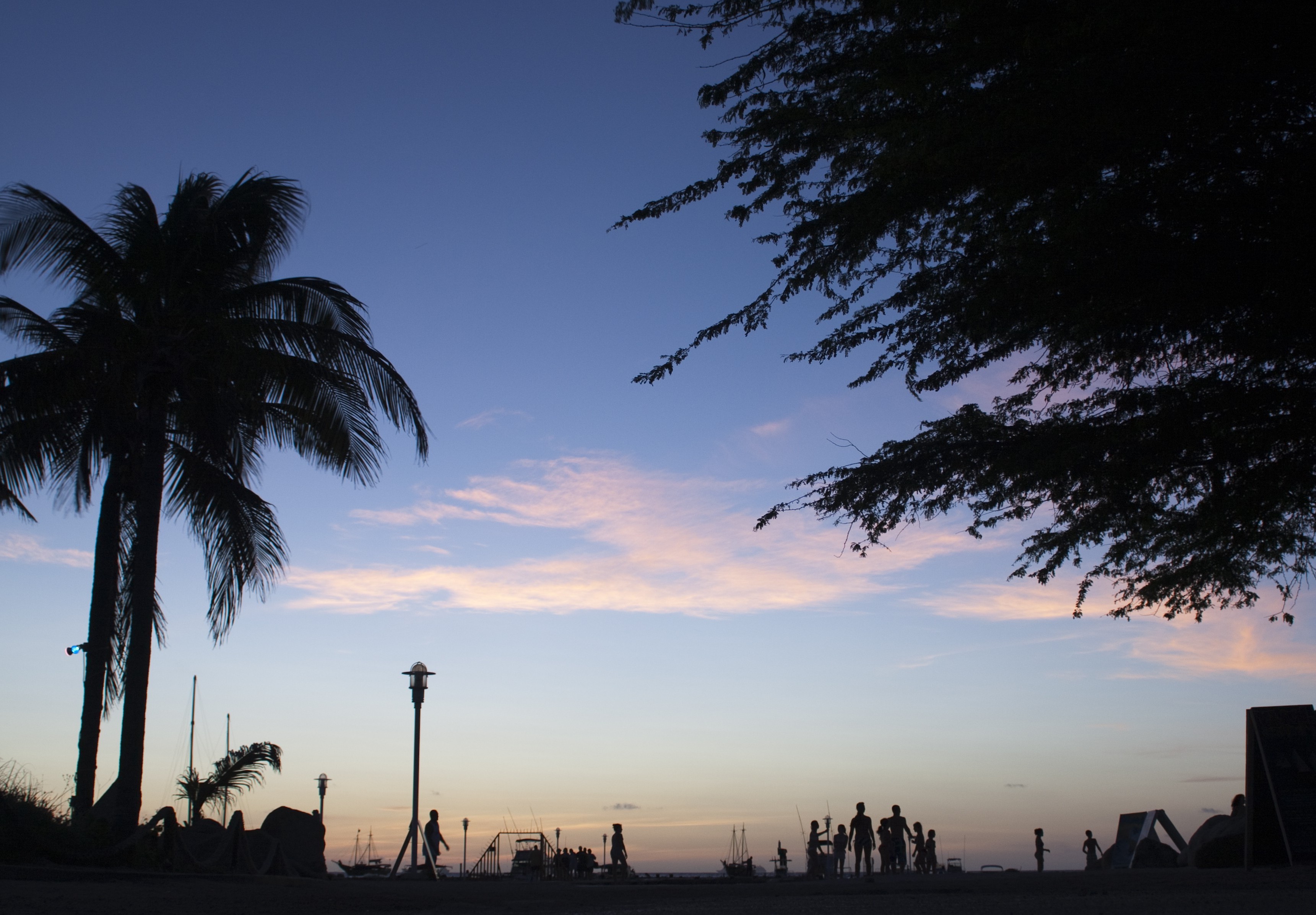 landscape, Sunset, Clouds, Backlighting, Palm Trees Wallpaper