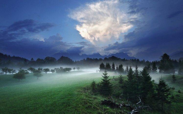 nature, Landscape, Night, Mist, Clouds, Forest, Hill, Grass HD Wallpaper Desktop Background
