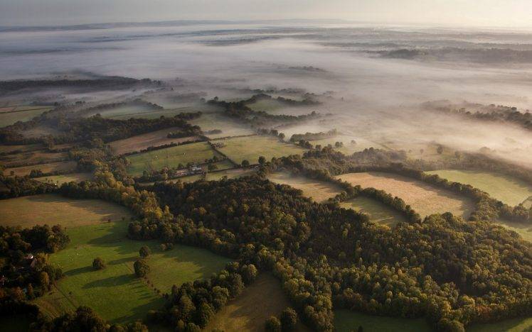 nature, Landscape, Aerial View, Mist, Forest, Morning, Field, UK HD Wallpaper Desktop Background