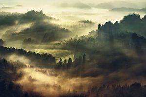 mist, Landscape, Nature, Forest, Morning, Trees, Lights, Hill