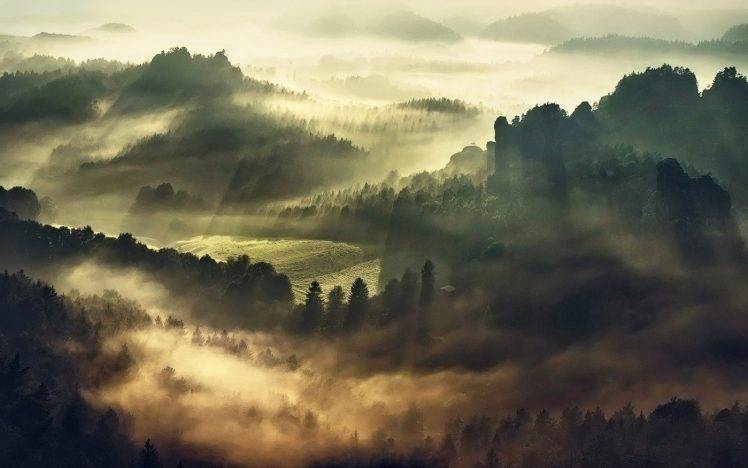 mist, Landscape, Nature, Forest, Morning, Trees, Lights, Hill HD Wallpaper Desktop Background