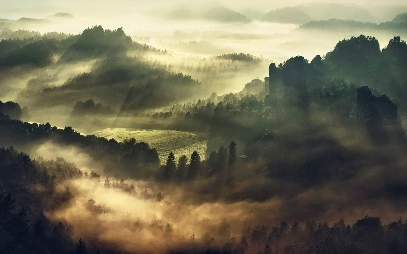 mist, Landscape, Nature, Forest, Morning, Trees, Lights, Hill Wallpaper