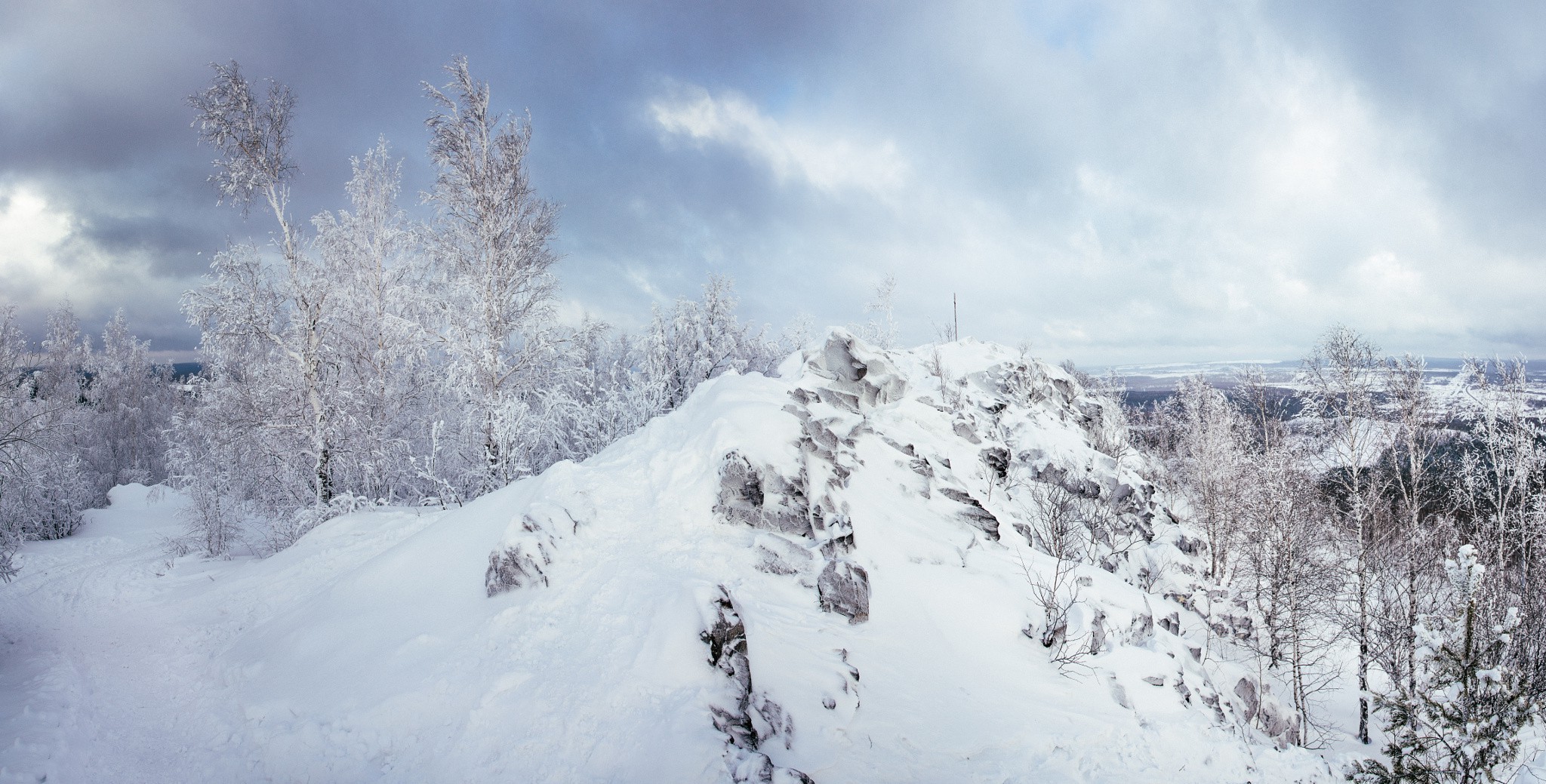 landscape, Nature, Forest, Snow Wallpaper