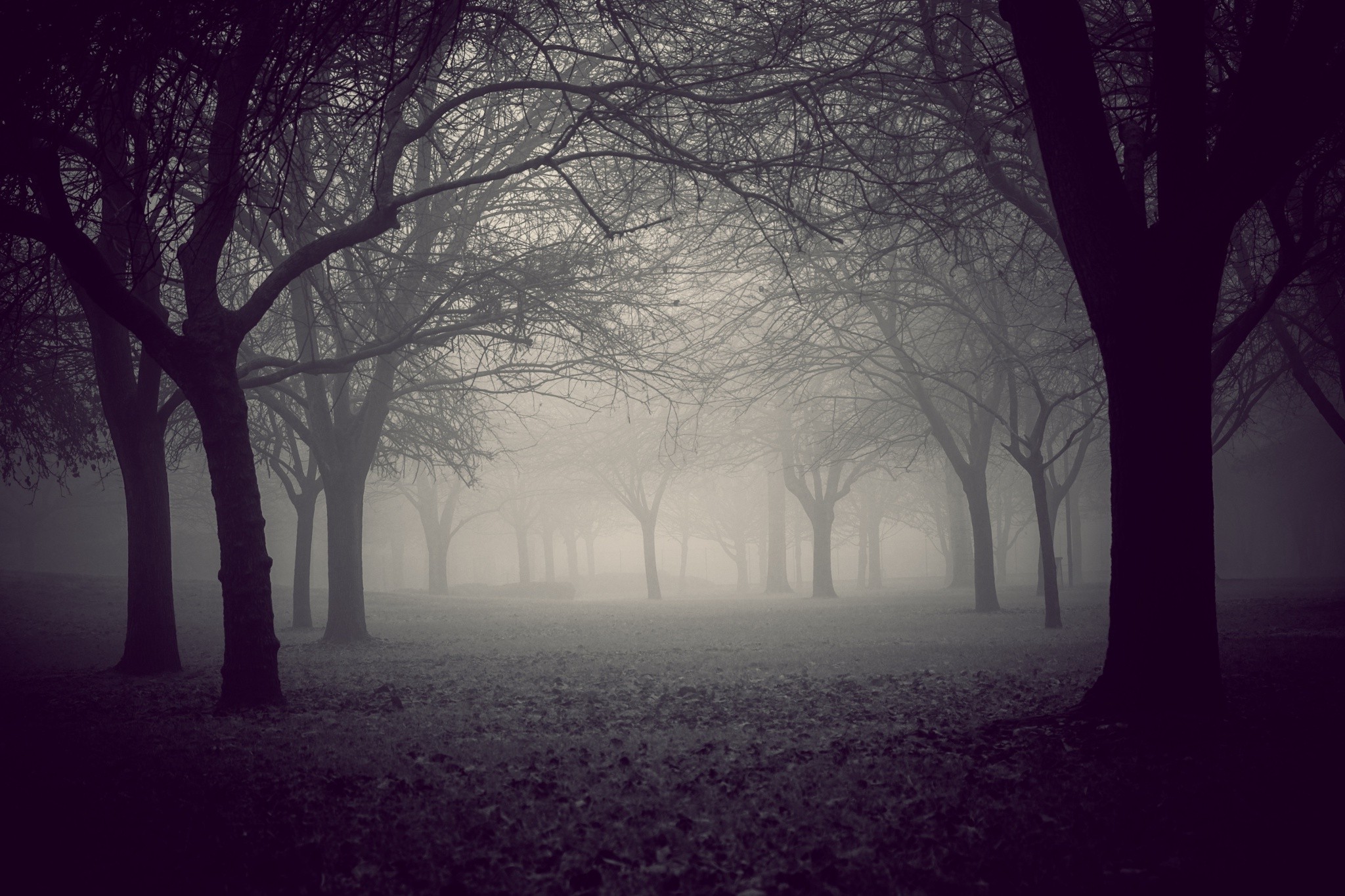 landscape, Nature Wallpaper