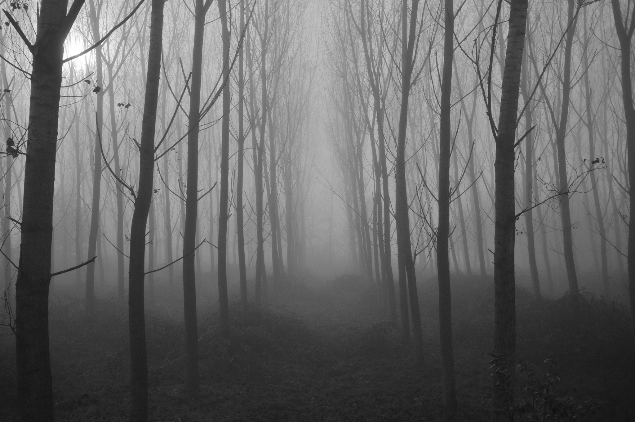 landscape, Nature, Spooky Wallpaper