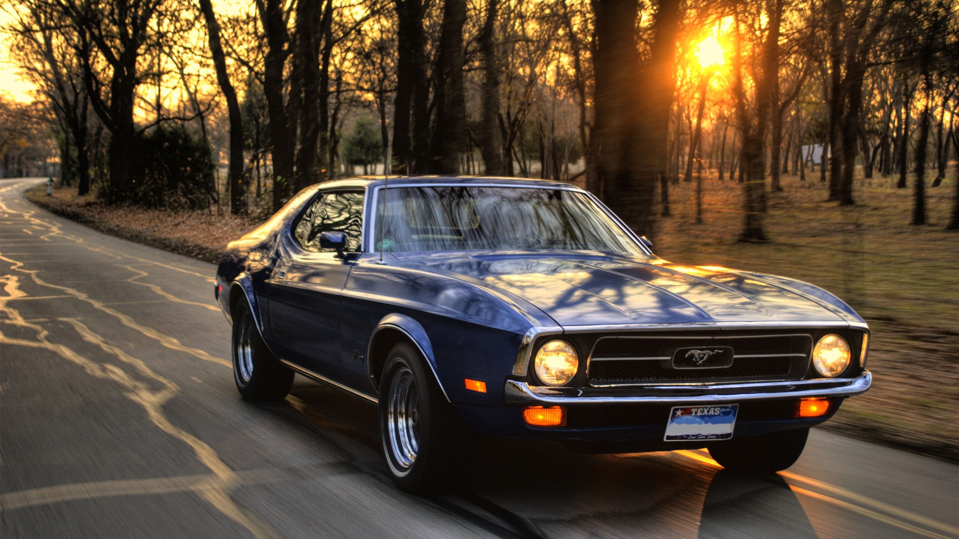 car, Ford, Ford Mustang, Sunset, Trees, Road, Muscle Cars Wallpaper