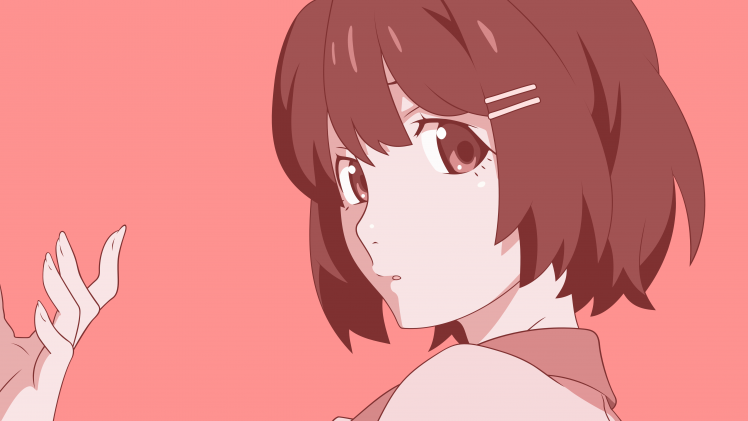 Monogatari Series, Hanekawa Tsubasa, Anime Girls HD Wallpaper Desktop Background