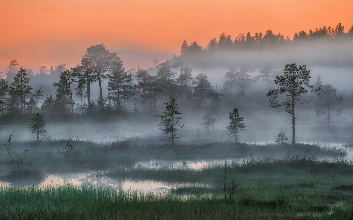 nature, Landscape, Russia, Forest, Mist, Trees, Sunset, Night, Arctic, Wetland Wallpaper