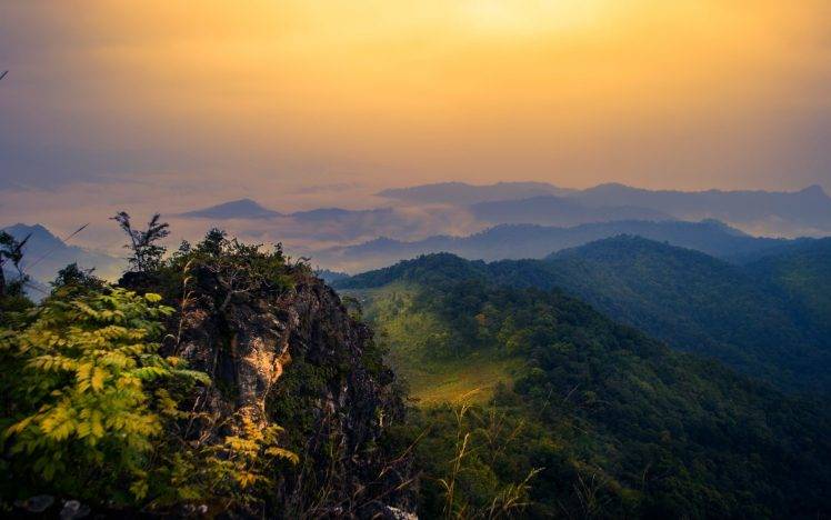 nature, Landscape, Mist, Mountain, Forest, Shrubs, Sunrise, Clouds, Thailand HD Wallpaper Desktop Background